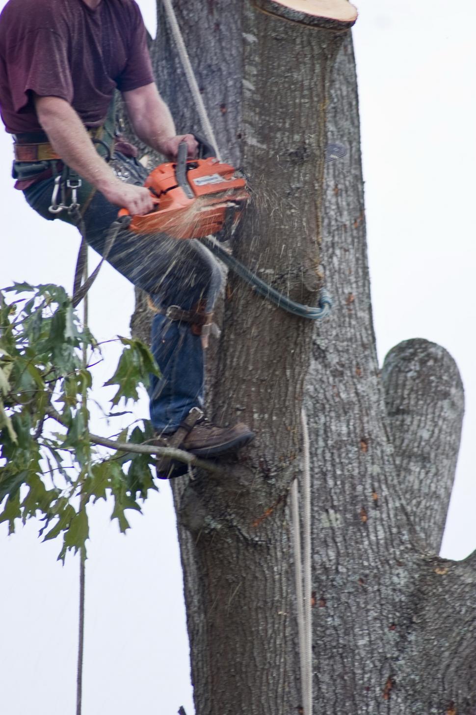 Free Image of Man with saw 