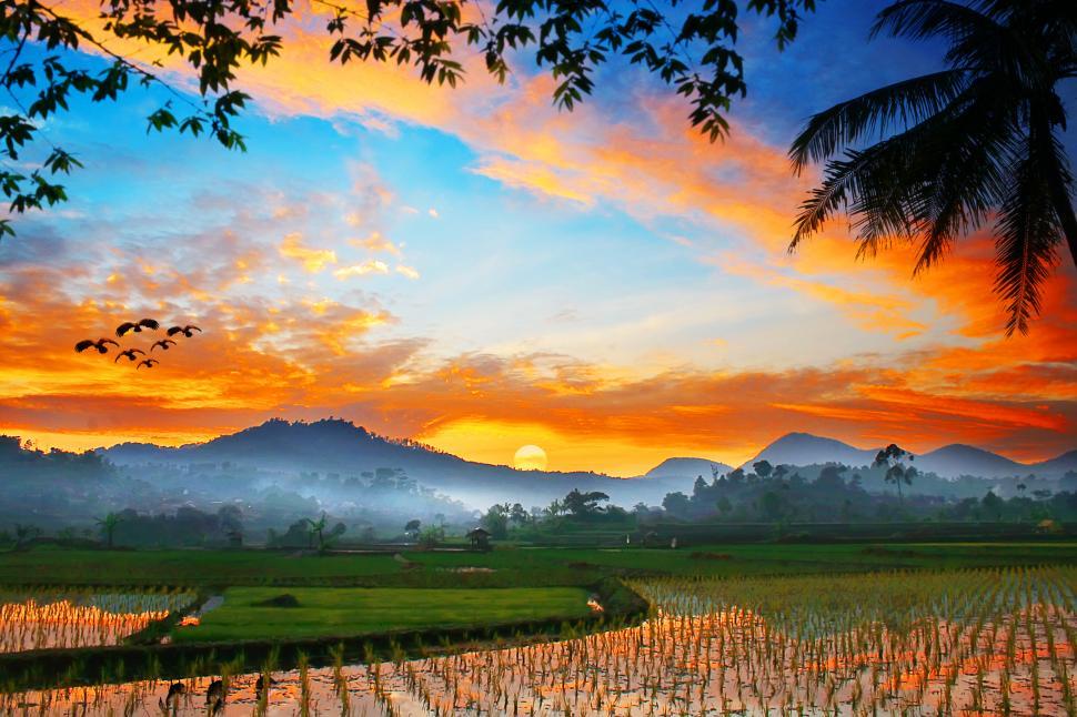 Free Image of sunrise over the field  