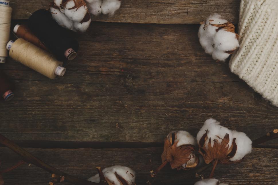 Free Image of Cotton flower background 