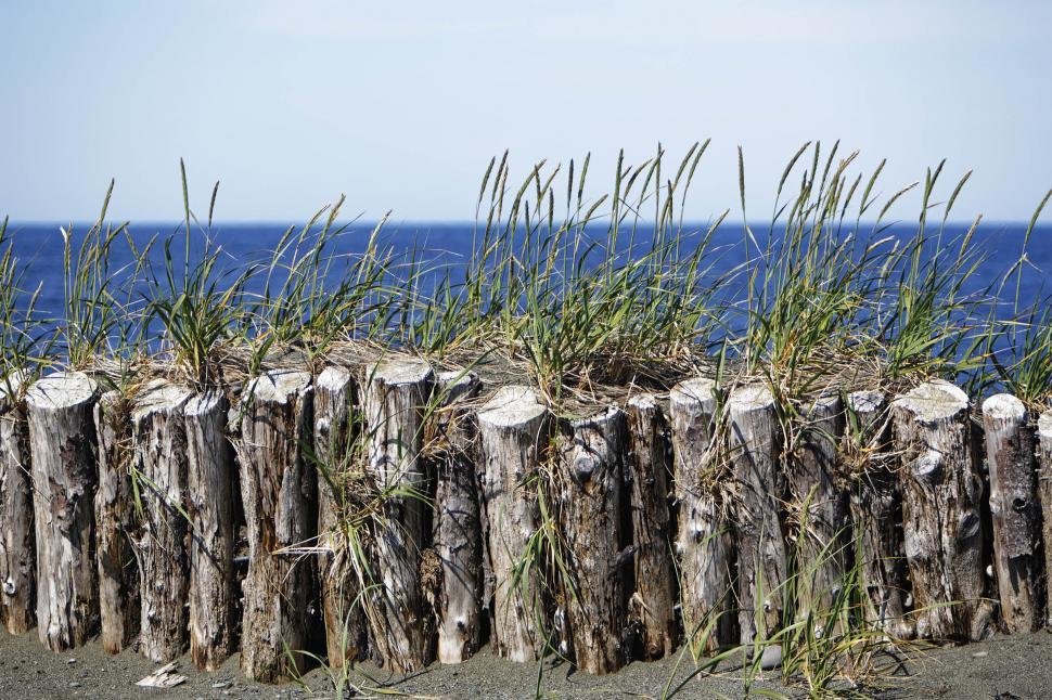 Free Image of Wooden beach barricade 