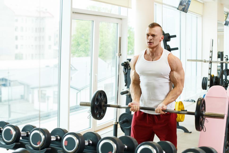 Free Image of Gym. Fit man during workout 
