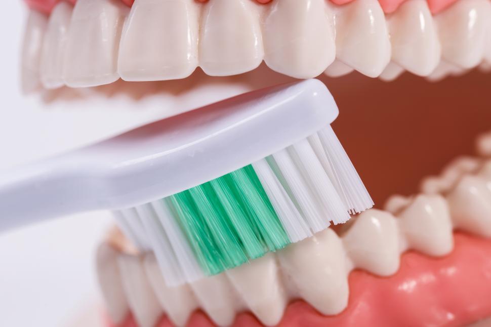 Free Image of Brushing White teeth with a toothbrush 