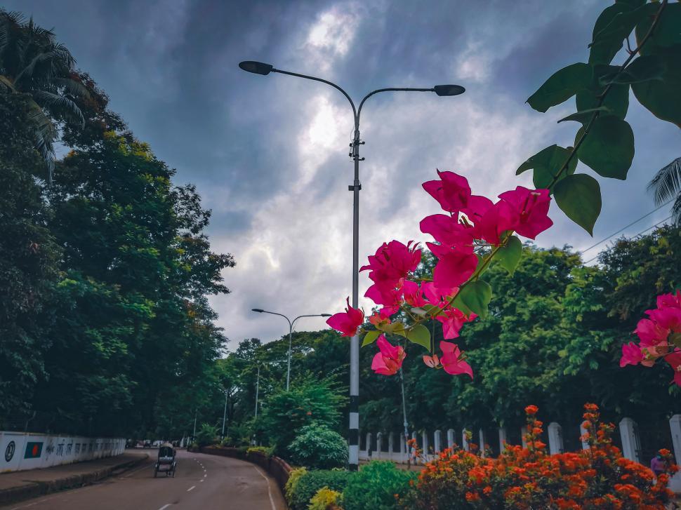 Free Image of Cloudy sky and Paper flower 