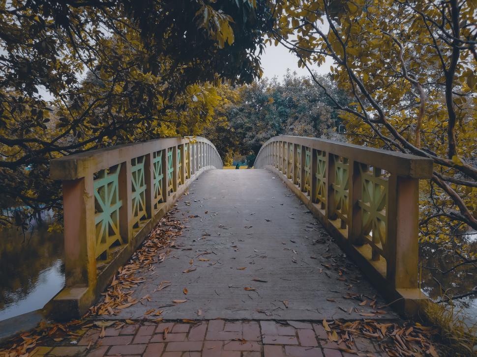 Free Image of Empty Bridge 
