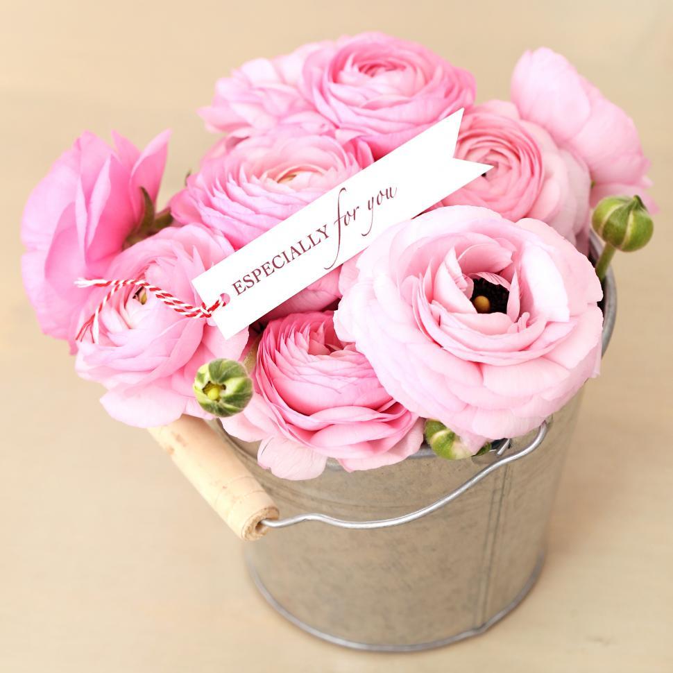 Free Image of Beautiful bouquet in the pot 