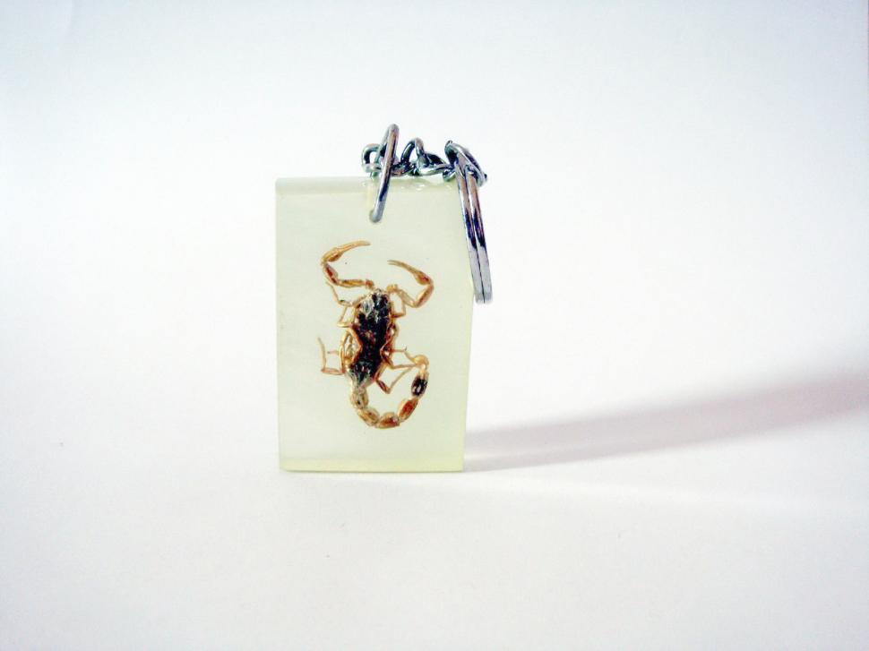 Free Image of Scorpion Keyring 