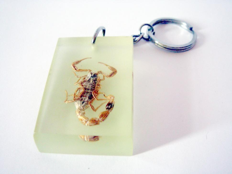 Free Image of Scorpion Keyring 