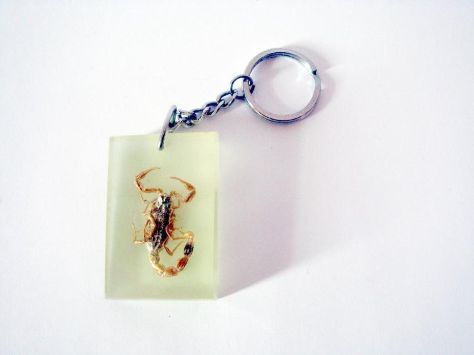 Free Image of Scorpion Keyring 