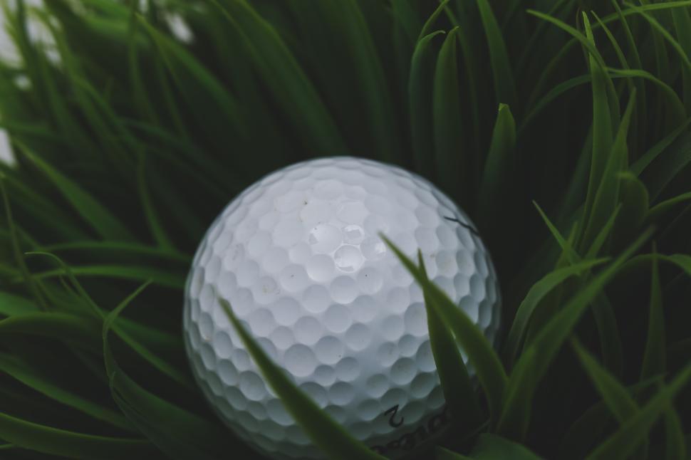 Free Image of Golf ball in the deep rough 