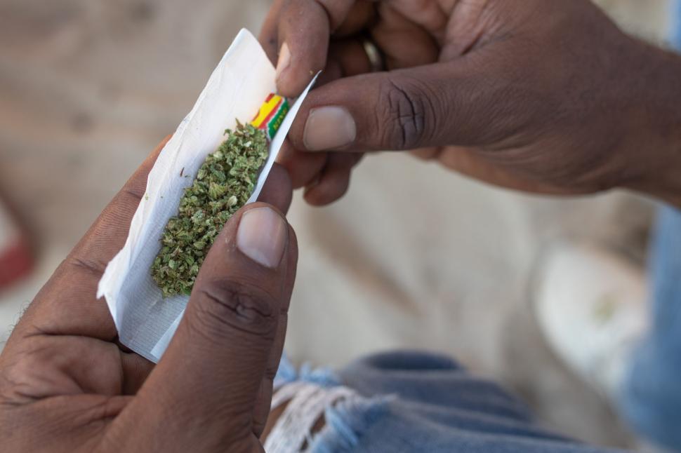 Free Image of Rolling marijuana cigarette with paper 