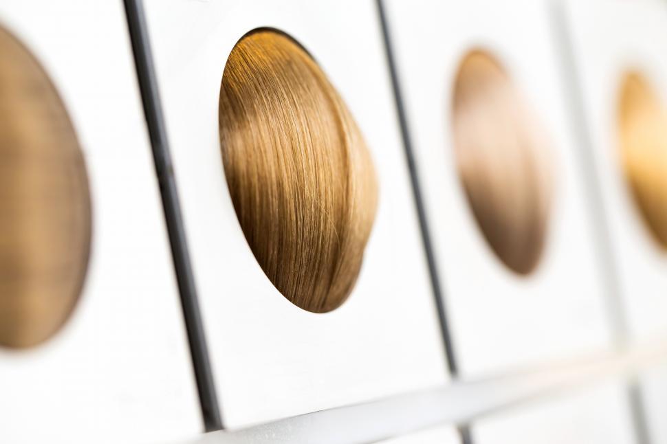 Free Image of Hairstyle. Hair tone options sample board 
