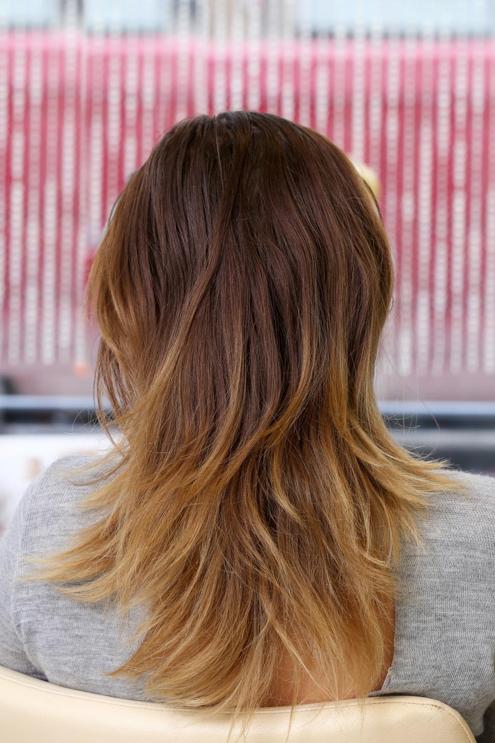 Free Image of Beauty, hairstyle. The back of a fresh cut 