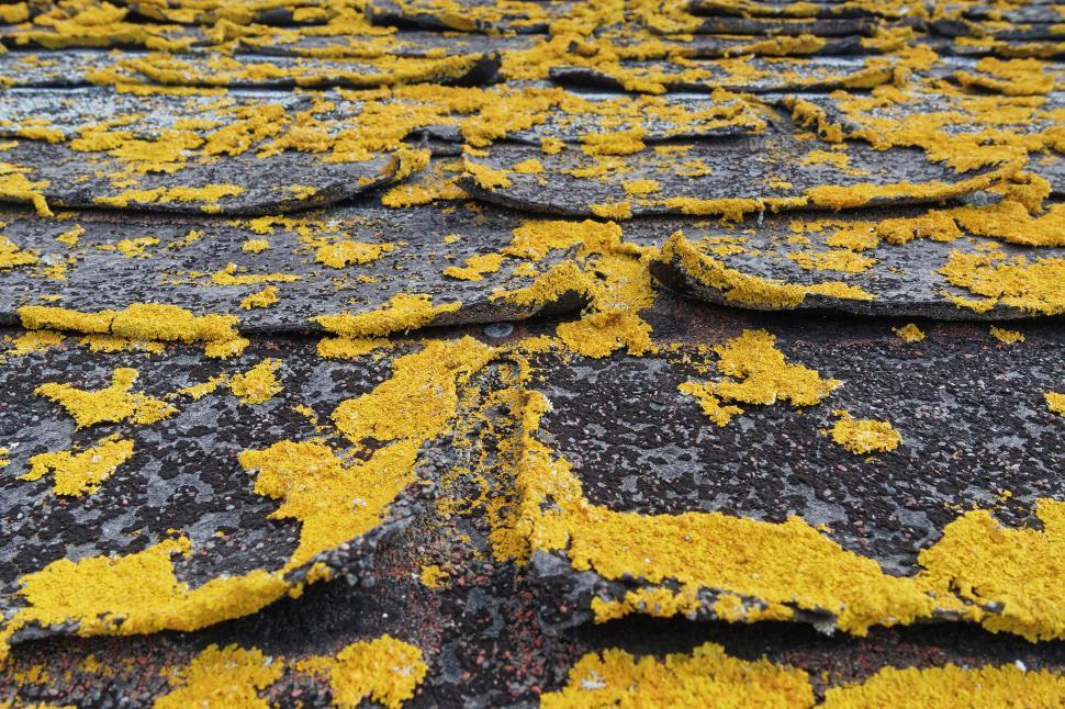 Free Image of Roof shingles 