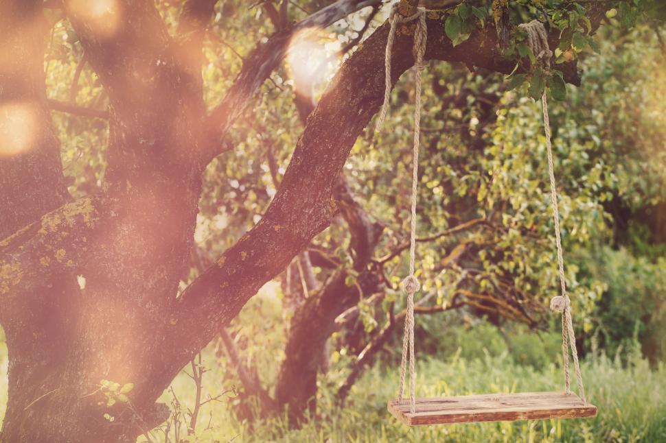 Free Image of Empty swing in the park 