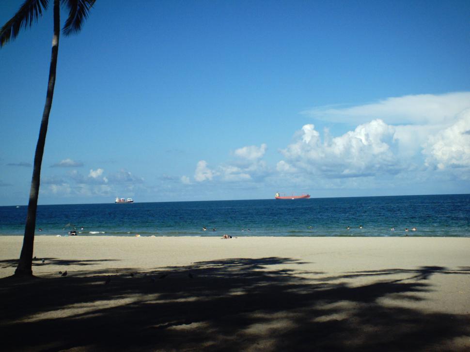 Free Image of Florida vacation 