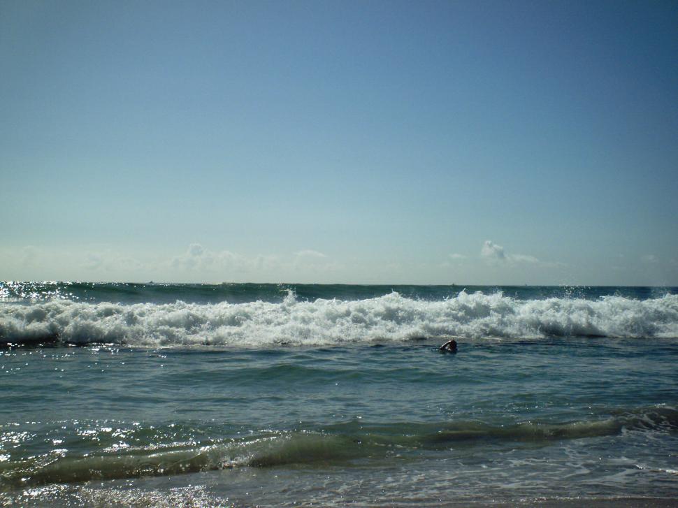 Free Image of Florida vacation 
