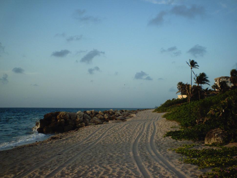 Free Image of Florida vacation 