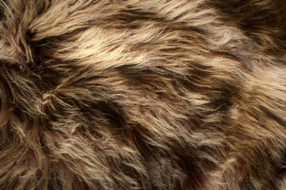 Free Image of Brown fluffy animal fur texture  