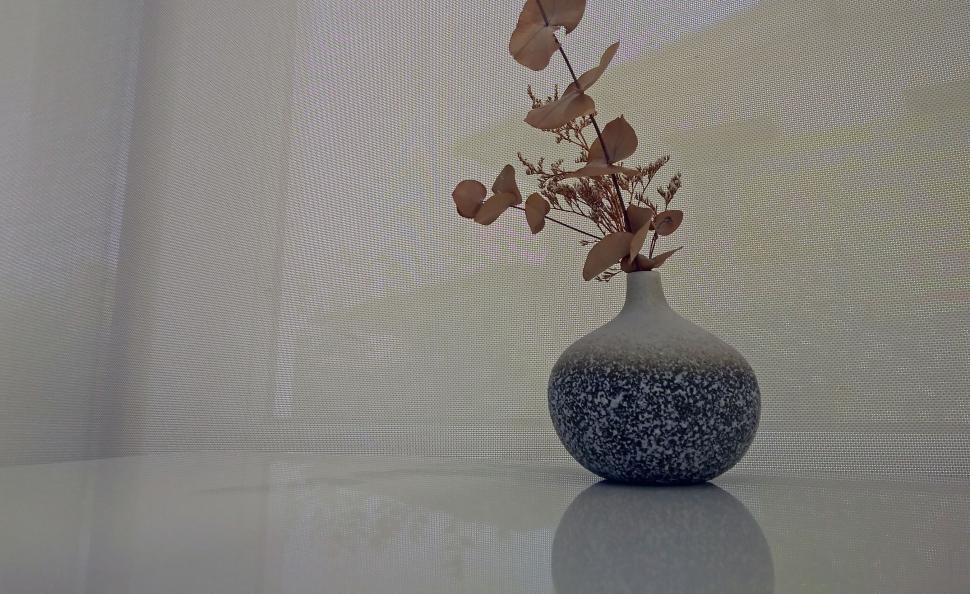 Free Image of Vase and Dry Flowers Table Decoration  