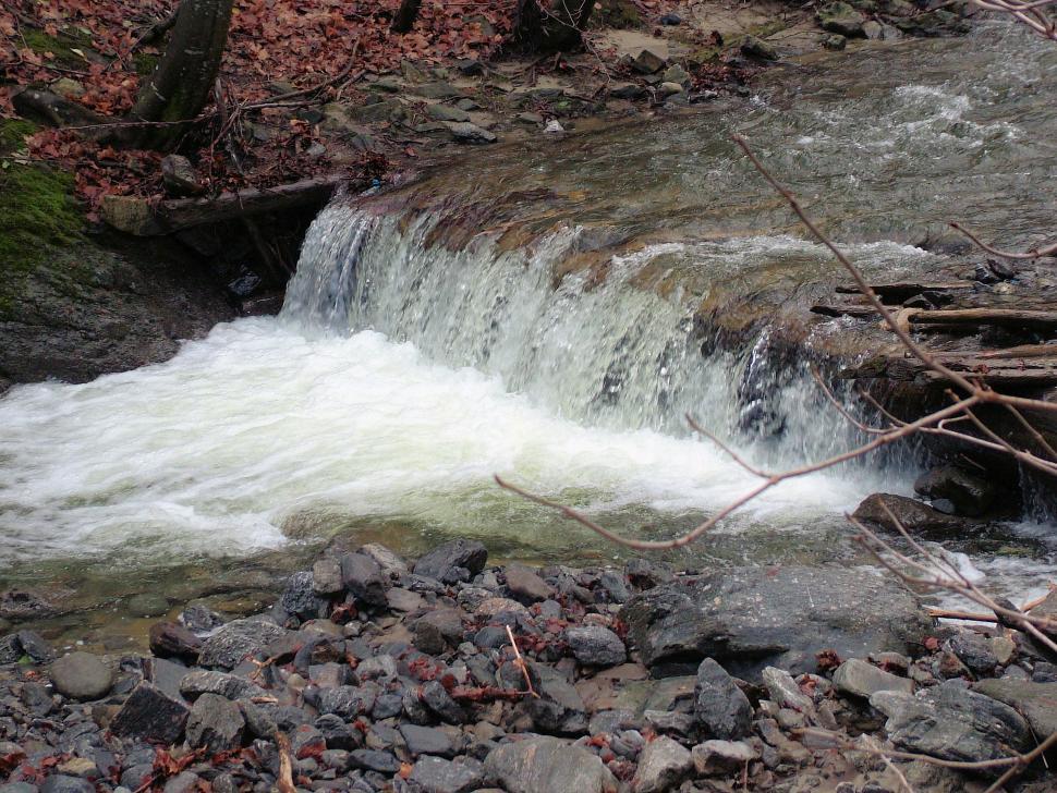 Free Image of Small mountain creek with waterfall in the forest 