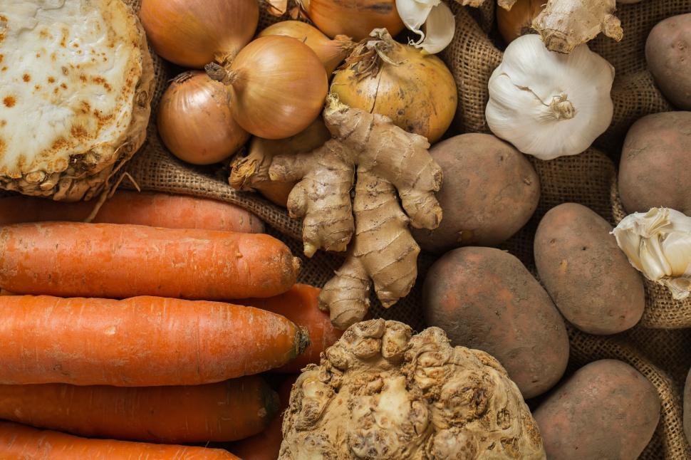 Free Image of Mix of Vegetables laid out for cooking 