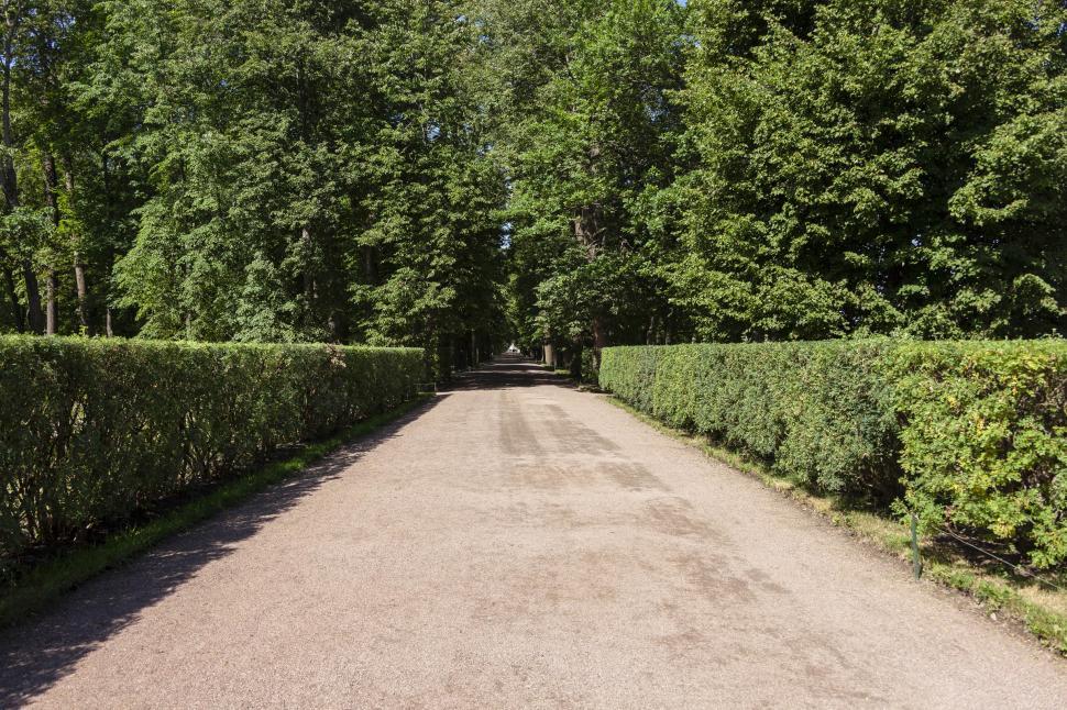 Free Image of Walking path 