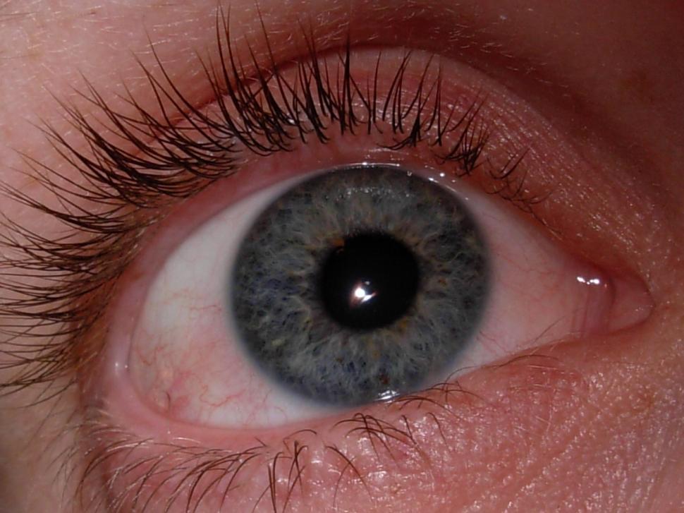 Free Image of Eye 