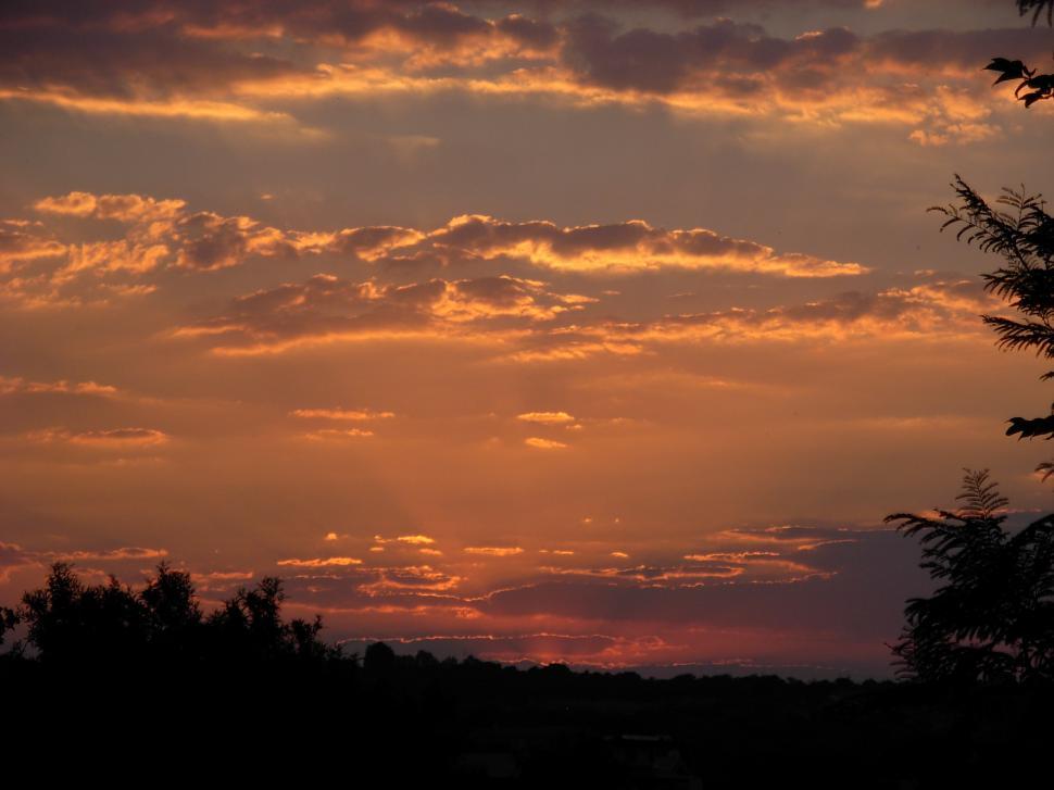 Free Image of Sunset Over Trees 