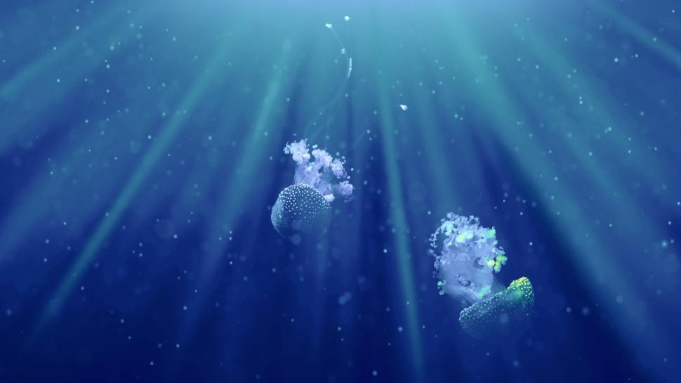 Free Image of Jellyfish Surrounded by Air Bubbles 