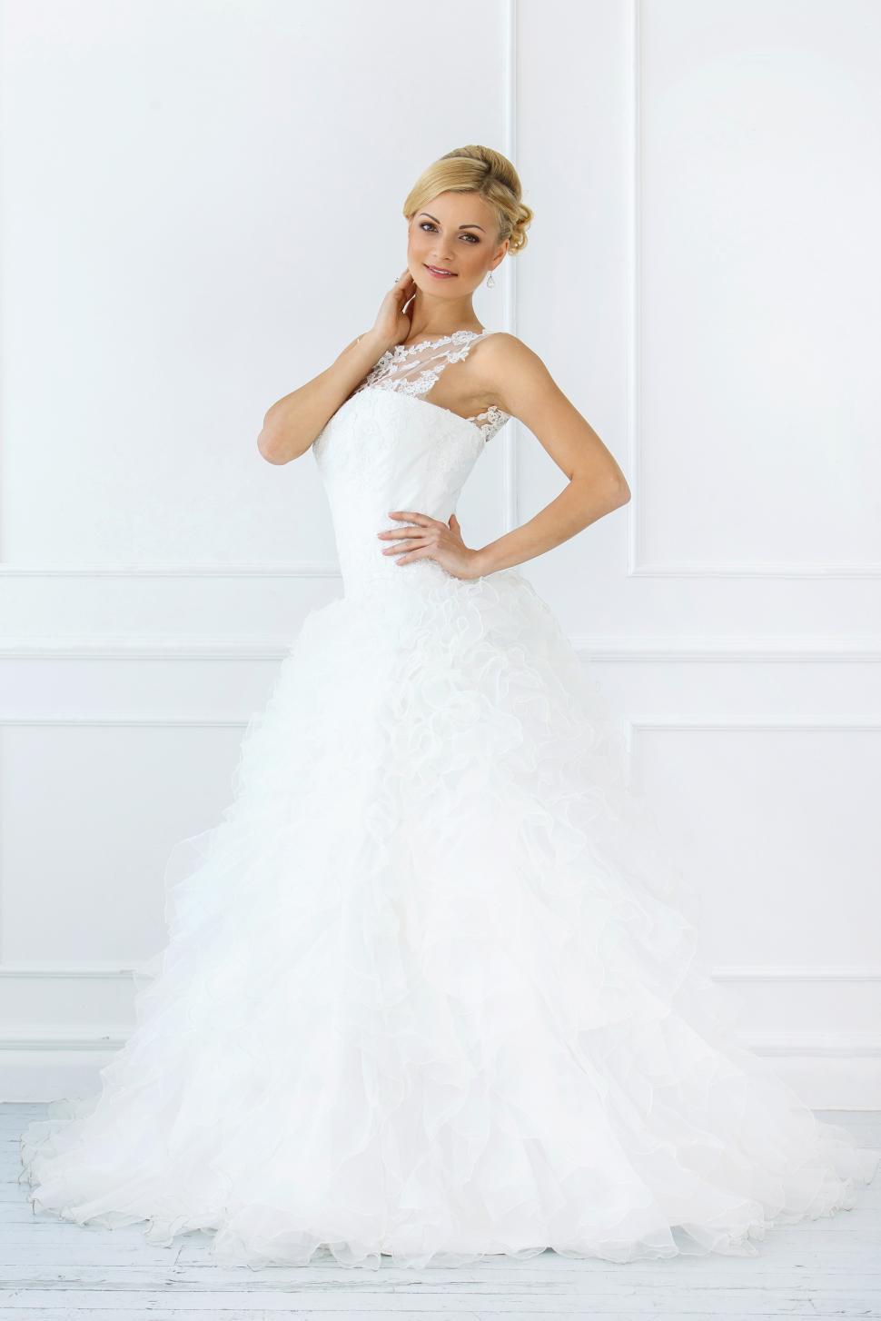 Free Image of Wedding. Beautiful bride, full length view 