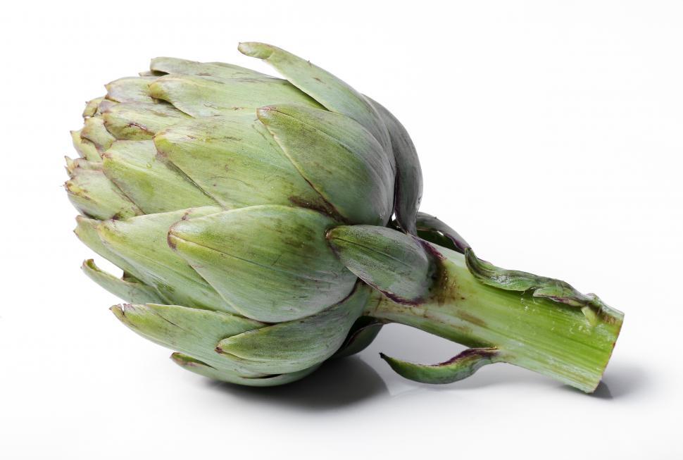 Free Image of One single Artichoke on white background 