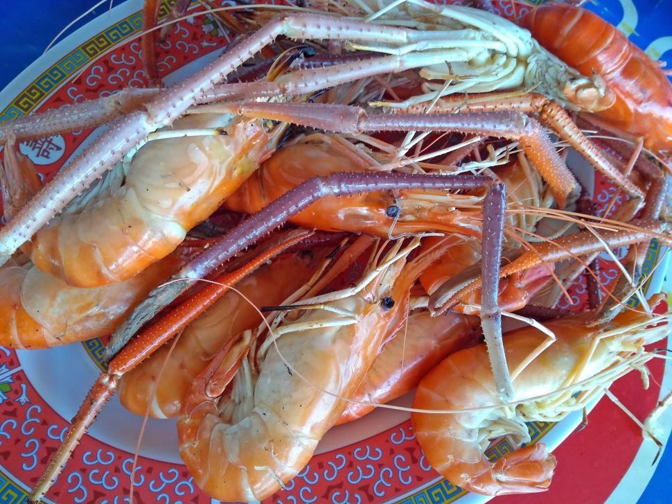 Free Image of Cooked shrimps - above view  