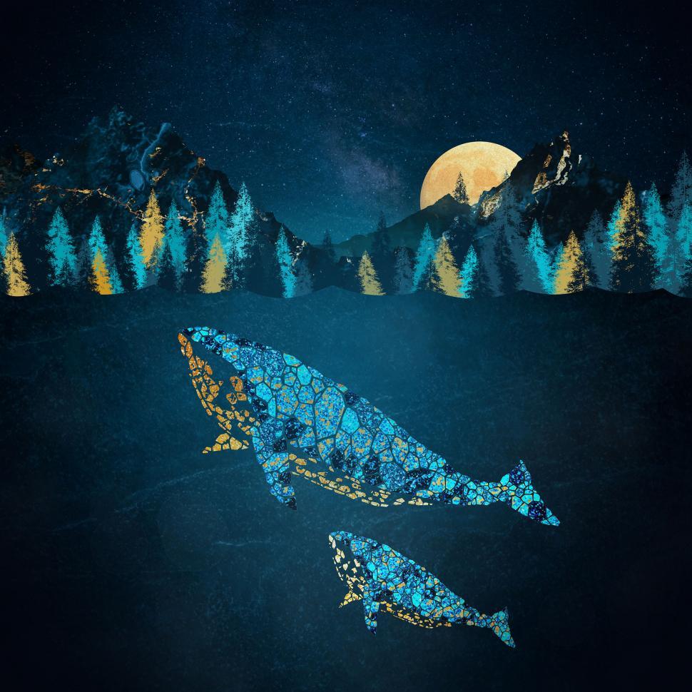 Free Image of Whale and Calf 