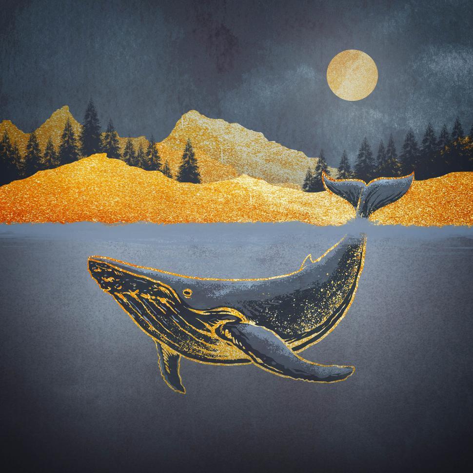 Free Image of Lone Humpback Whale 