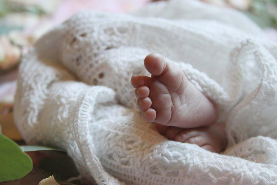 Free Image of Baby feet 