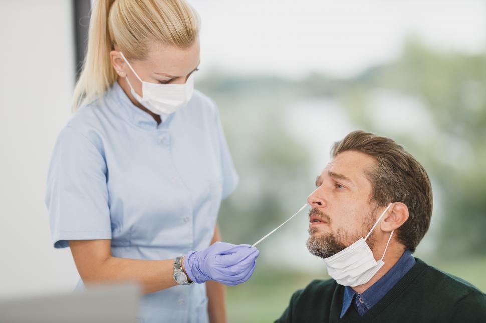 Free Image of Nose swab for Covid-19 