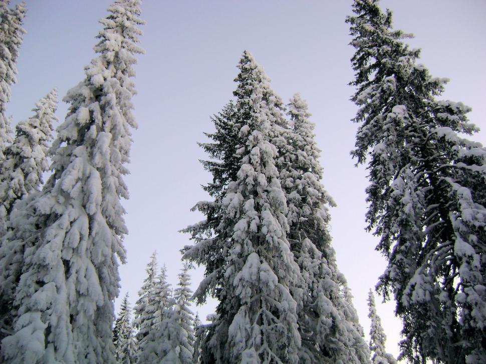 Free Image of Heavy snow over the mountains 