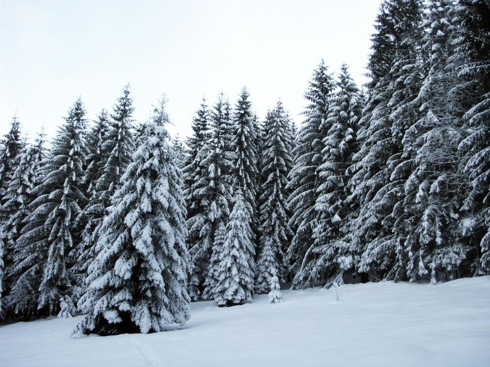 Free Image of Heavy snow over the mountains 