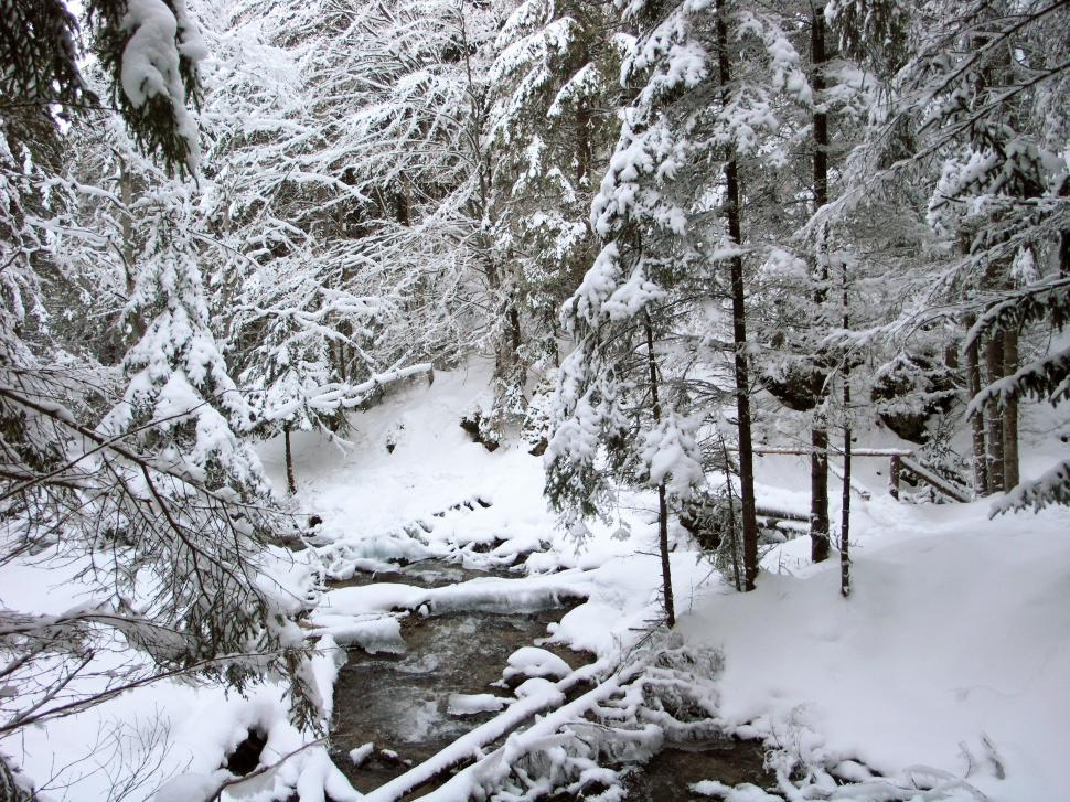 Free Image of Heavy snow over the mountains 