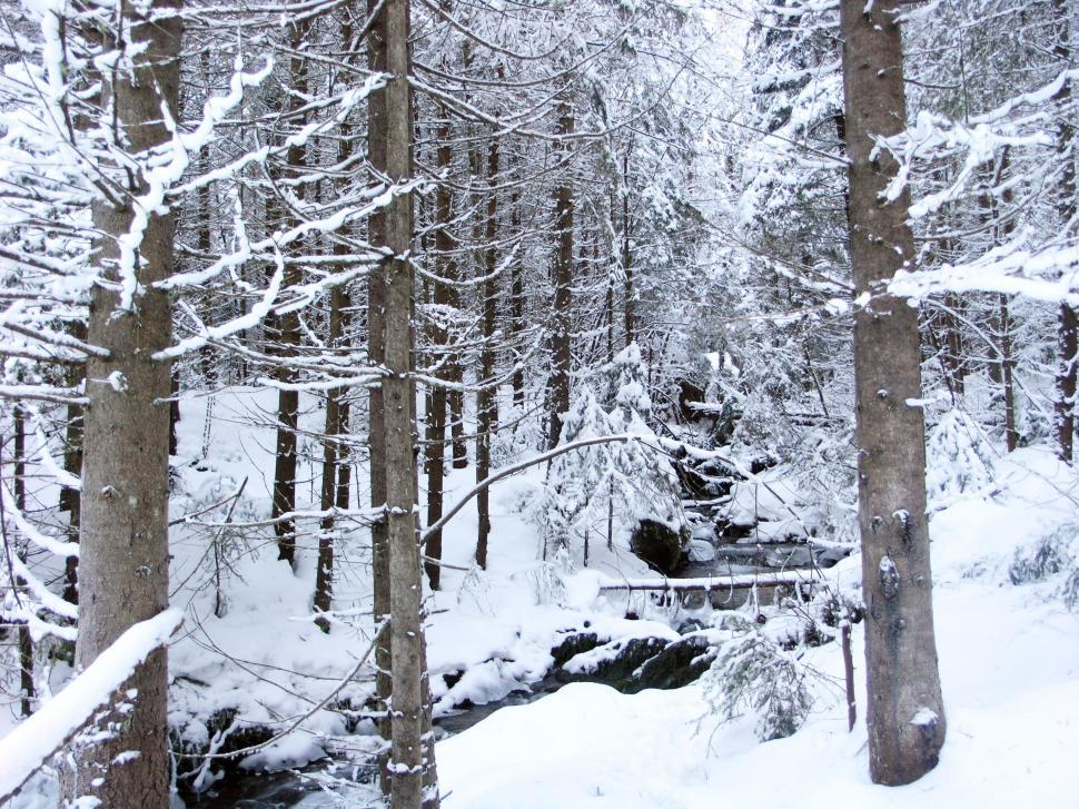 Free Image of Heavy snow over the mountains 