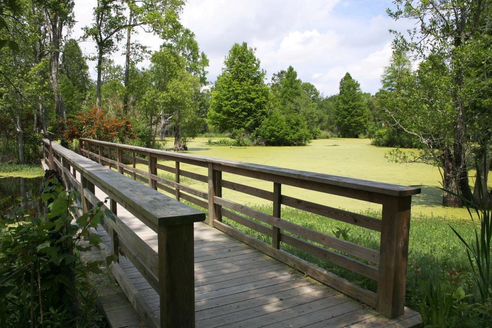 Free Image of swamp footbridge 