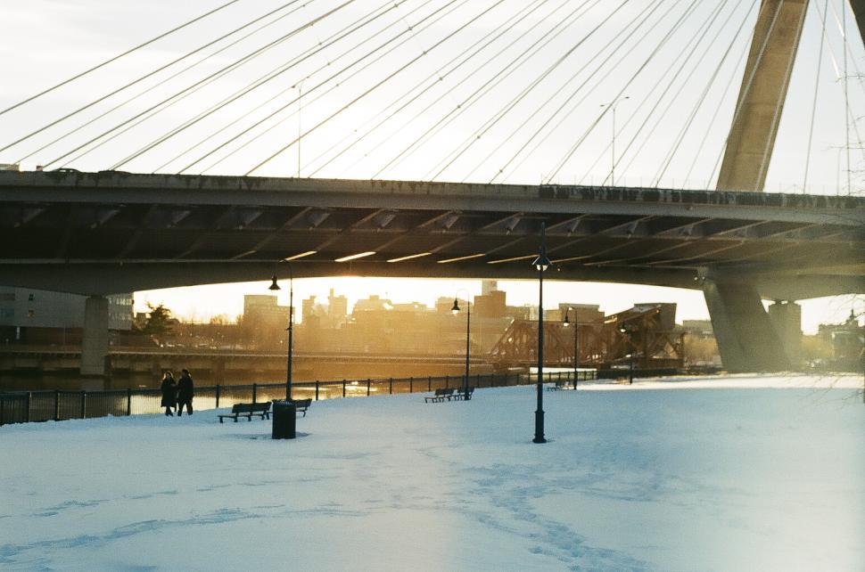 Free Image of Couple walking in snow-covered park 