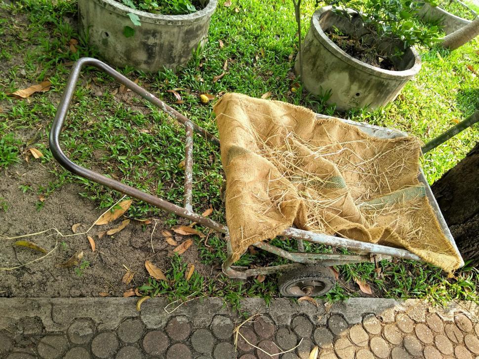 Free Image of Old wheelbarrow in a garden  