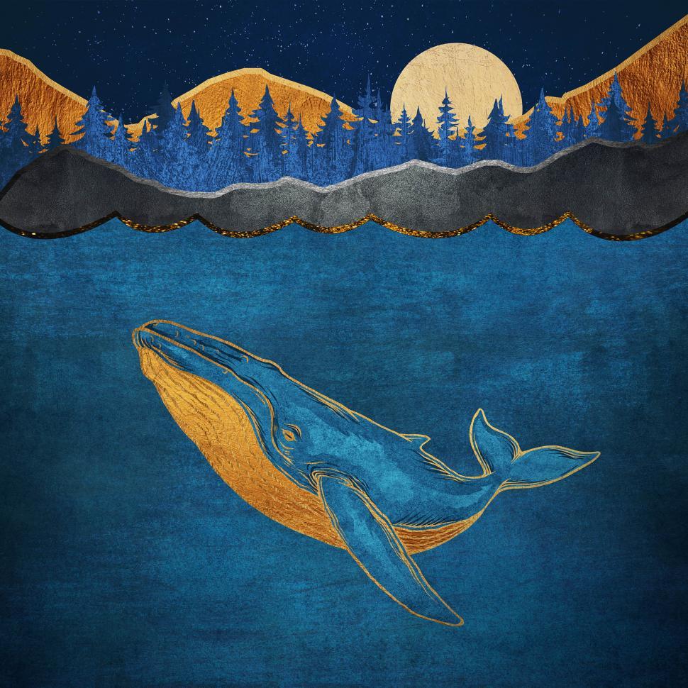 Free Image of Humpback Whale Cruising the Ocean at Night 