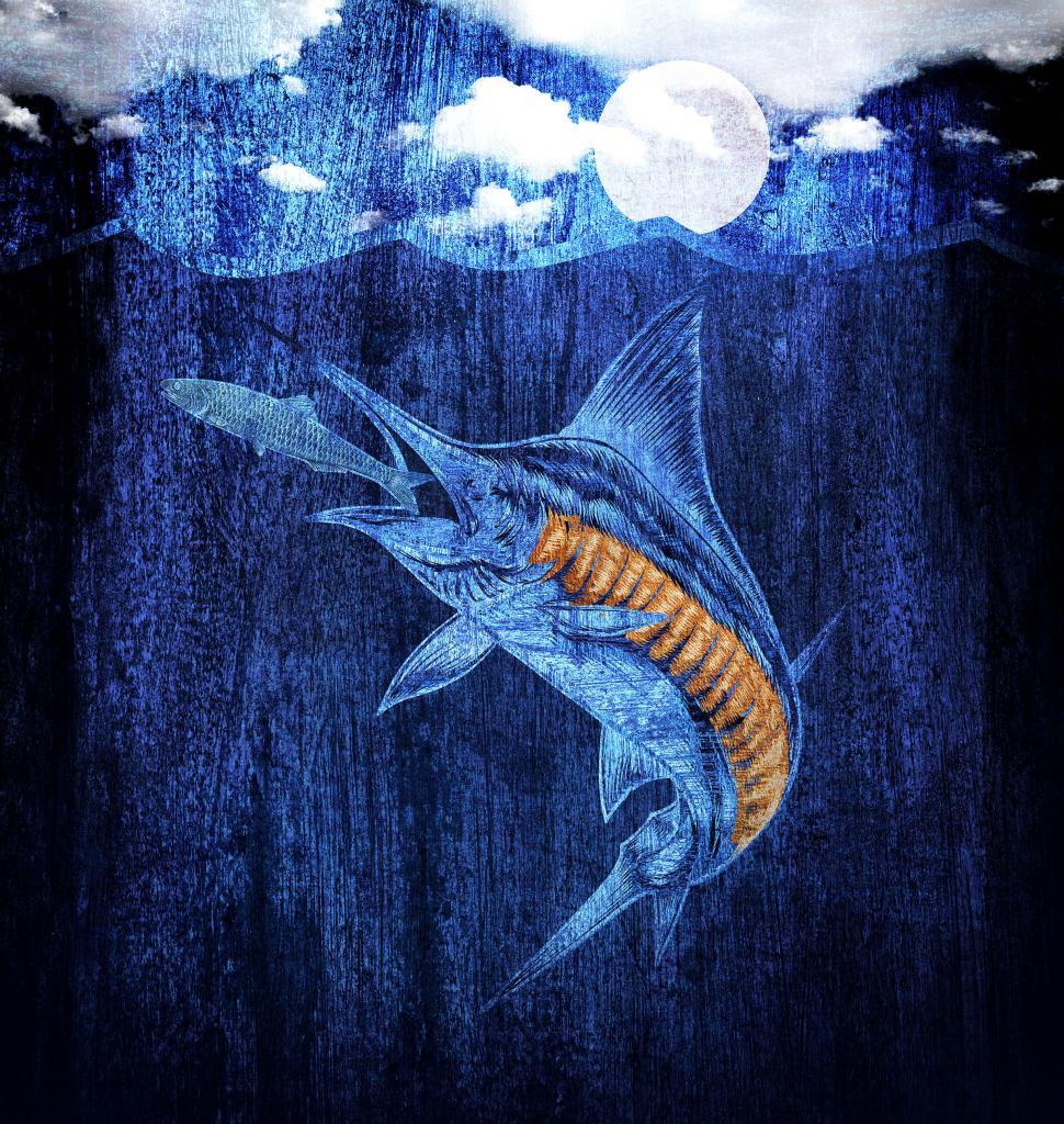 Free Image of Blue Marlin Hunting Its Prey - Iconic Animals 