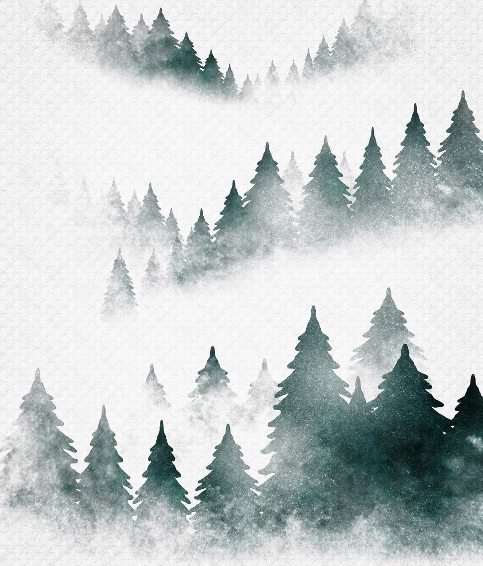 Free Image of First Snowfall of the Year in the Forest  