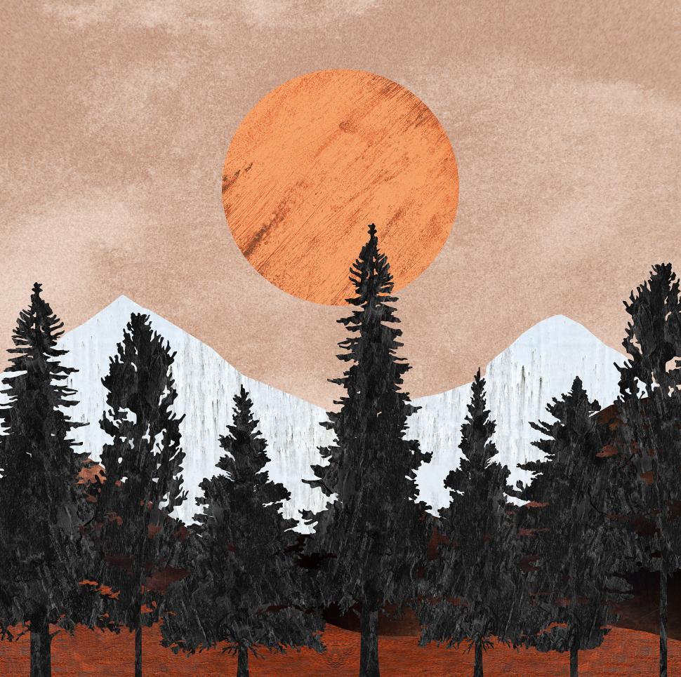 Free Image of Midnight Sun in Alaska - Sun Over Boreal Forest 