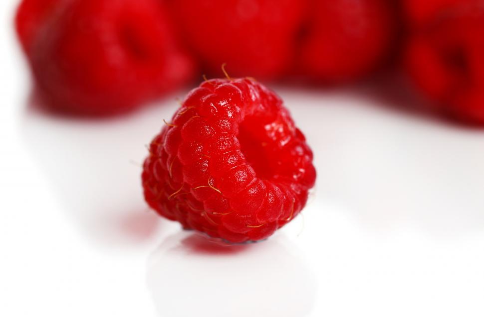 Free Image of Close up of a single red raspberry 