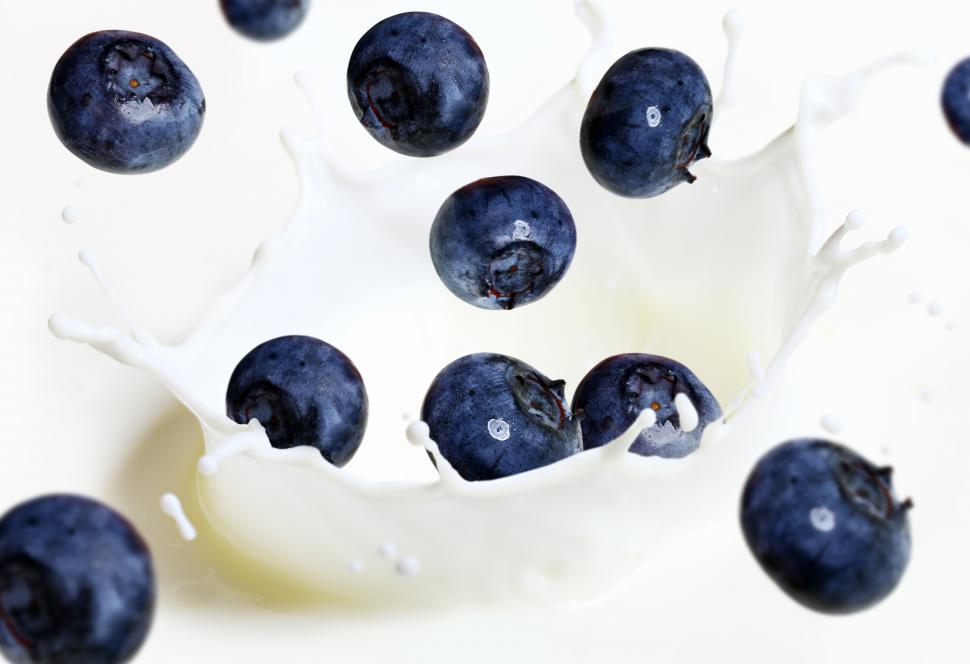 Free Image of Blueberries falling into milk splash 