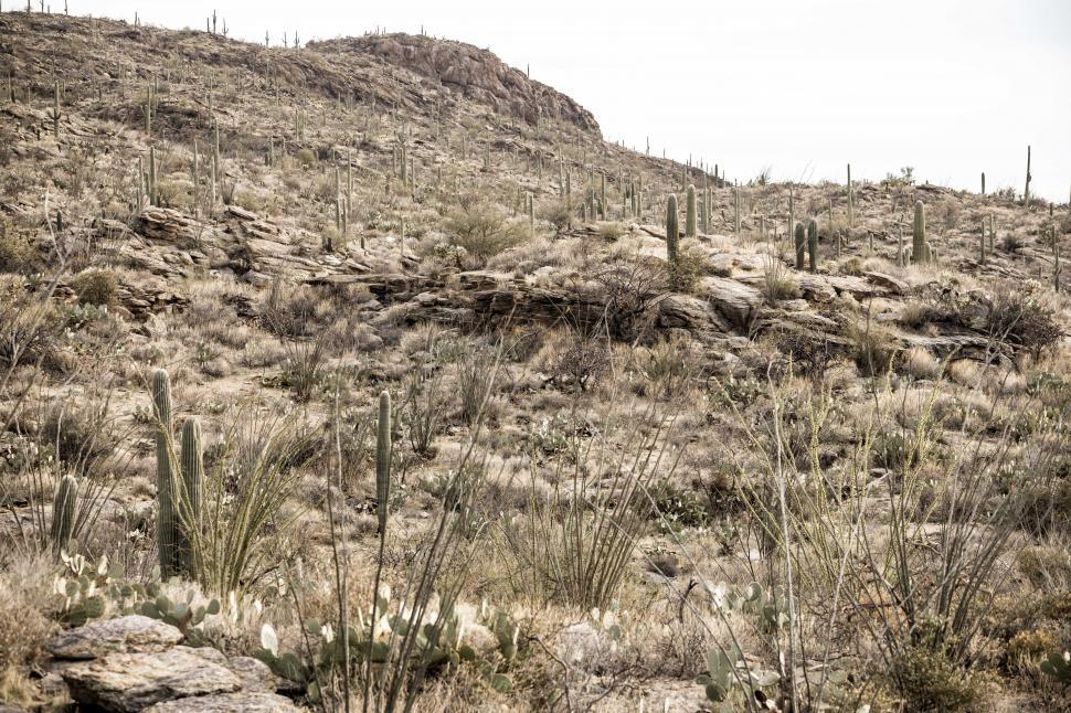 Free Image of Vintage Toned image of rocky hillside 